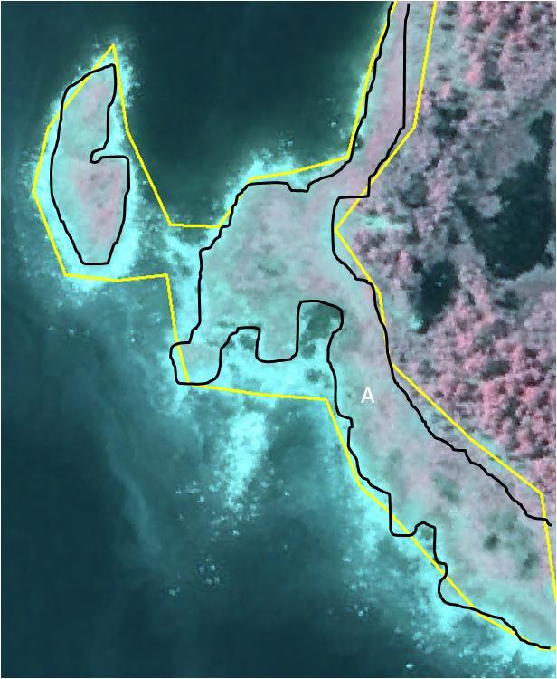 Strandängar Bild 1. Exempel på avgränsning av strandäng. Den gula linjen visar avgränsningen innan fältbesök. Den svarta linjen är ett förslag på avgränsning efter fältbesök.