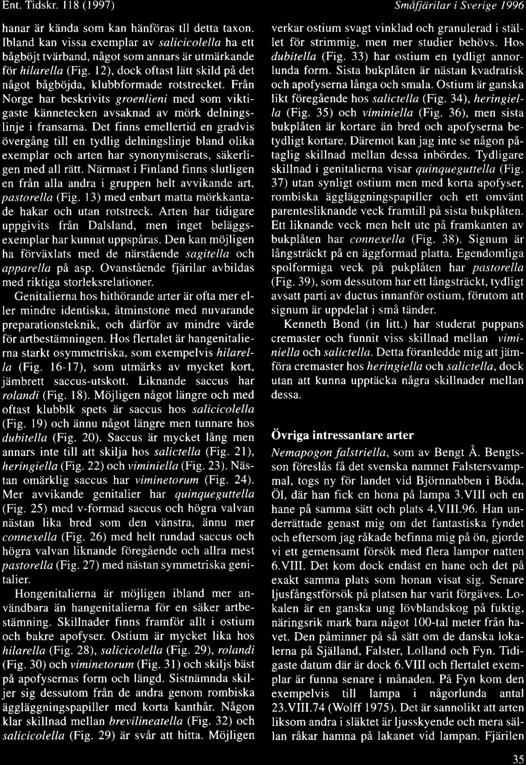 Ent. Tidskr. ll8 (1997) hanar hr keinda som kan hlinfciras tll detta taxon. Ibland kan vissa exemplar av salicicolella ha etl bngbcijt tvdrband, nigot som annars dr utmdrkande for hilarella (Fig.
