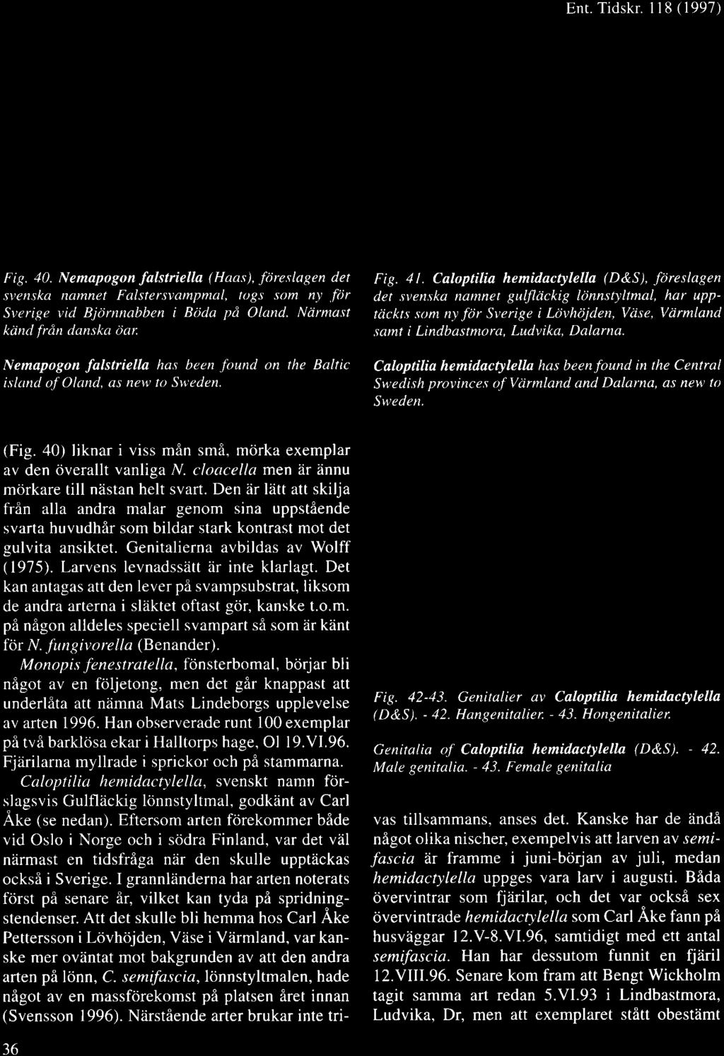 a hemidactylella (D&S), fbreslagen det svenska namnet guffirickig ldnnstyltmal, har upptiickt.\ som ny fdr Sverige i Ldvhi;jden, Vcise, VrirmLand.samt i Lindbastmora, Ludvika, Dalarna.