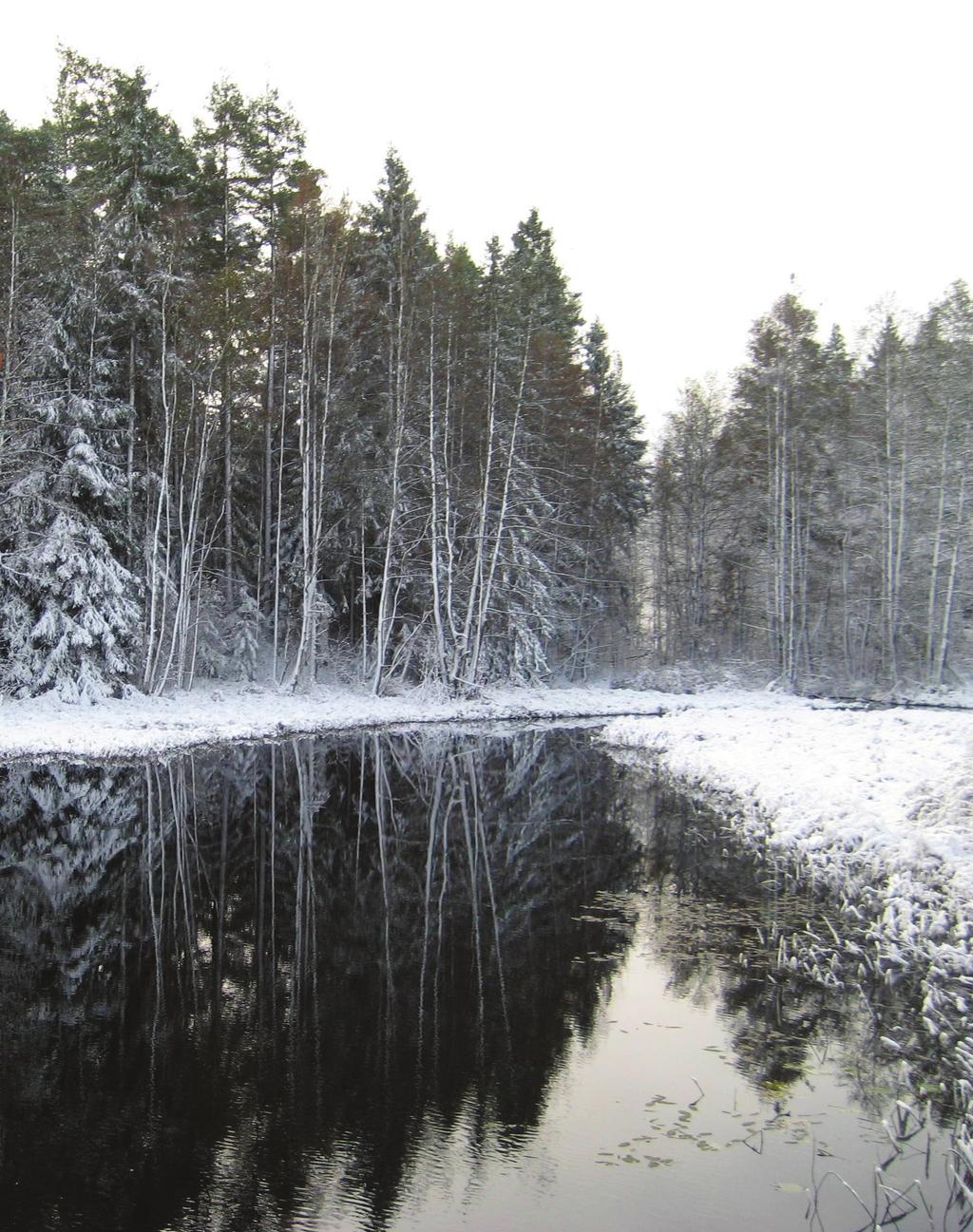 LJUNGBYÅN 2010 Kommittén för