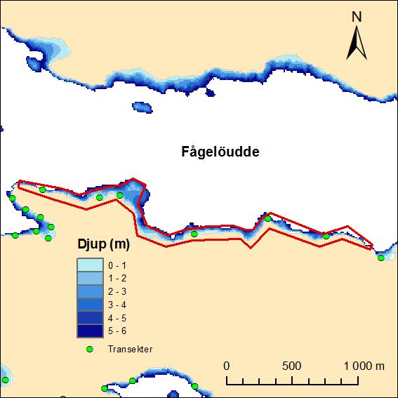 Marin naturvärdesbedömning av Lidingös kustvatten Beskrivning Området utgörs av en cirka 2,6 km lång sträcka av Lidingös nordöstra kuststräcka (figur 27).