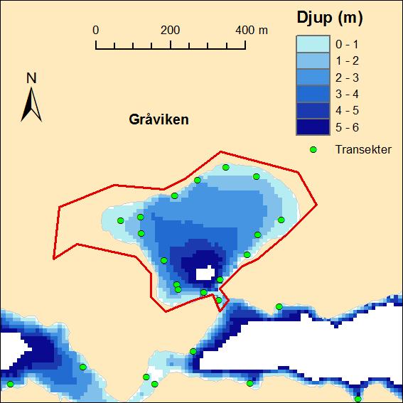 AquaBiota Report 2015:12 Figur 31. Karta över Gråviken.