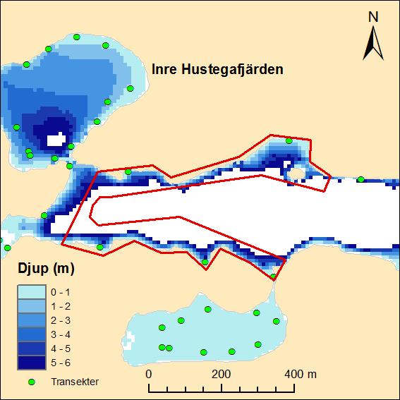Marin naturvärdesbedömning av Lidingös kustvatten Beskrivning Området utgörs av stränderna på ömse sidor av en sträcka av Hustegafjärdens inre del (figur 43).
