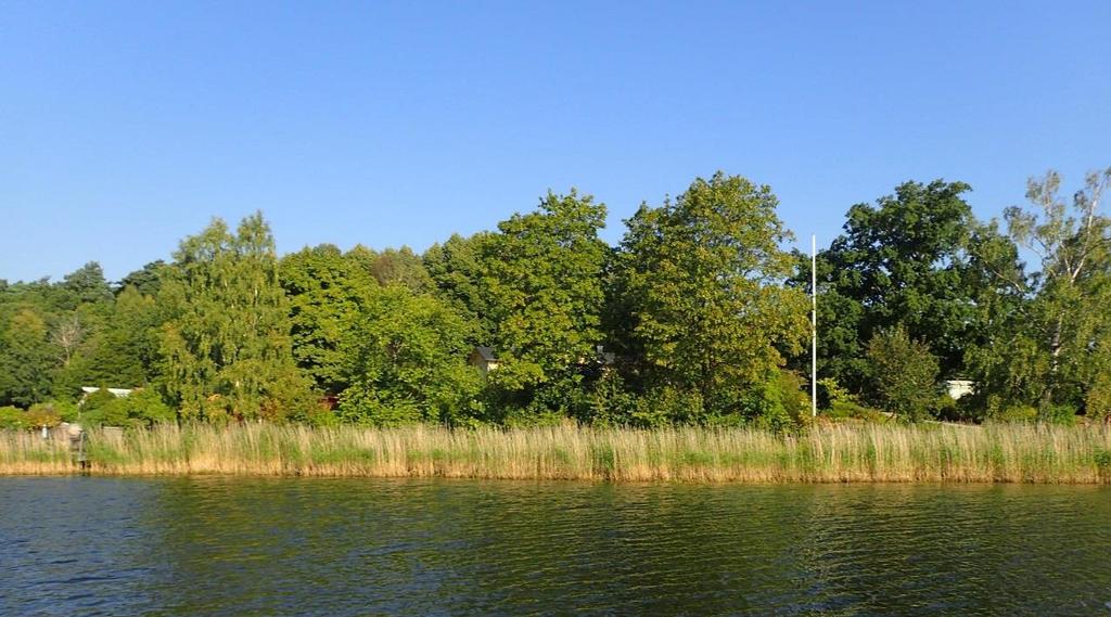 Marin naturvärdesbedömning av Lidingös kustvatten Figur 37. Östra delen av området kantas av vass.