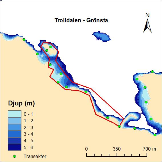 Marin naturvärdesbedömning av Lidingös kustvatten Beskrivning Området Trolldalen Grönsta utgörs av en strandsträcka med på sina håll långgrund vegetationsrik botten men även av branta strandpartier