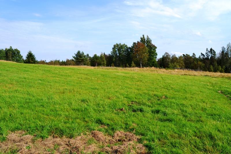 P l a n te ring avdelning 4 INÄGOMARK Uppgår enligt skogsbruksplanen till 3,2 ha och utgörs till största delen av åkermark.