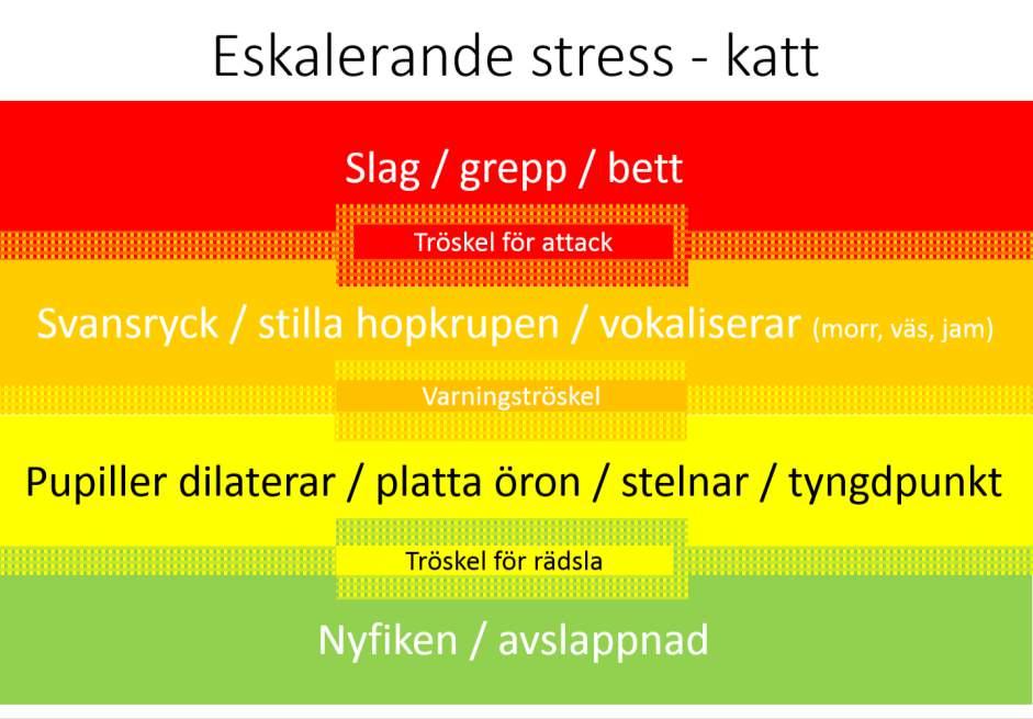 Katten reagerar på obehagliga stimuli, eller triggers. Allt eftersom hen får ökad grad av arousal - exaltering, betingad av obehag, så visas andra beteenden.