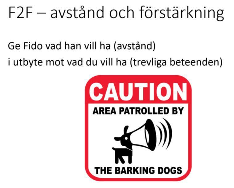 Motbetingning. På samma vis som djur kan lära sig att assoicera t ex en veterinär med en spruta eller annat obehag, så kan de lära sig nya associationer motbetingning.
