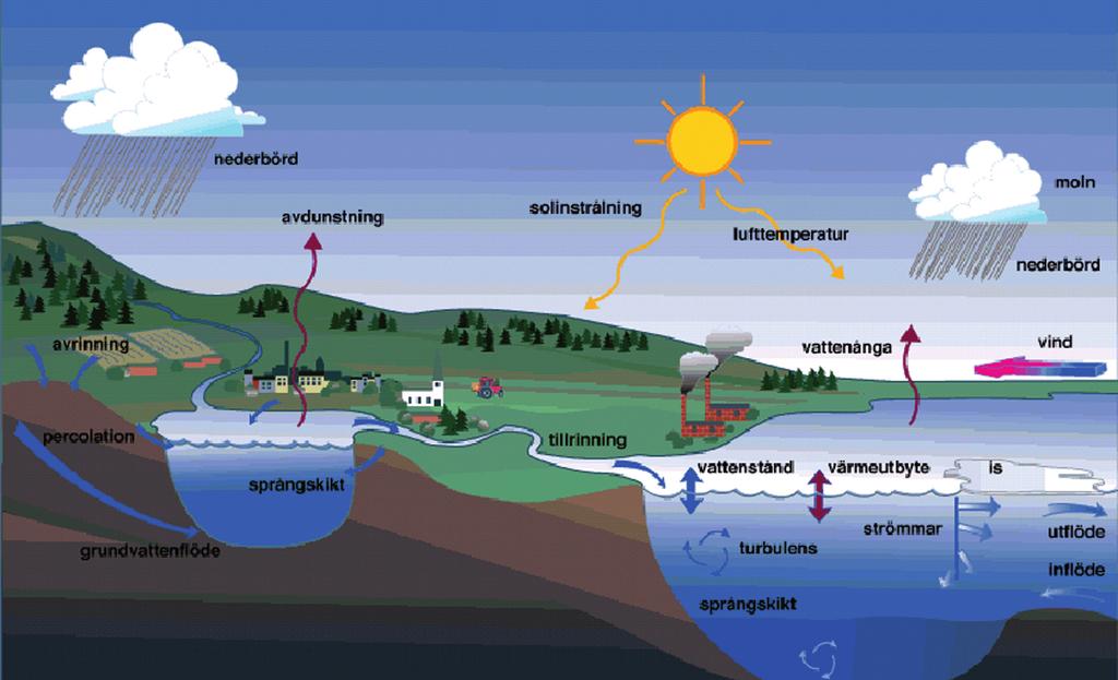 VATTEN Om vatten Vatten är en förutsättning för allt liv på jorden. Vatten täcker nästan två tredjedelar av jordens yta.