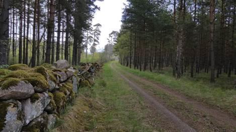 Bebyggelsemönstret är komplext då det finns ett äldre bebyggelseläge väster om nuvarande bebyggelse, registrerad som Trolle-Ljungby 140.