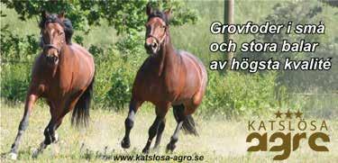 /, cc ' Eriksson Christoffer (Bey Ha) a Ing Pe Hd /- /,a cc ' PEARL FACE :, M Tot: --.,ljbr.s.e Igor November - : --.