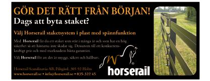 Champion Körsven ant.starter Pengar Christoffer Eriksson (J).:- Peter Untersteiner (Hd).:- Stefan Söderkvist (Å).:- Thomas Uhrberg (J).:- Johnny Takter (J).:- Marc Elias, lä (Hd).