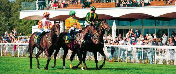 TÄVLINGSDAGAR PÅ 2018 APRIL 25 onsdag 12:20 Lunchgalopp MAJ 2 onsdag 12:20 Lunchgalopp 10 torsdag 12:00 FAMILJEDAG 16 onsdag 12:20 Lunchgalopp 23 onsdag 12:20 Lunchgalopp 28 måndag 18:00 JUNI 3