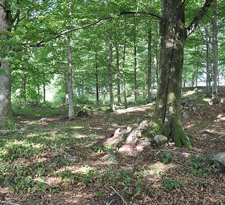 The Right of Public Access gives us fantastic opportunities to roam free in nature as long as we don t disturb or destroy. Remember to show consideration both to the environment and to other people.