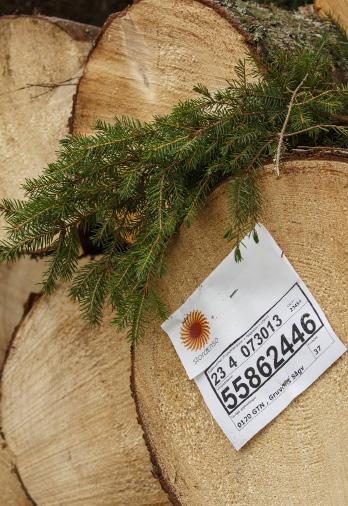 Därför ska du avverka nu Minska risken för storm, torka, röta och insekter i överhållen skog. Ersätt lågproducerande mogen skog med nya bestånd som har högre tillväxt och därmed bättre förräntning.