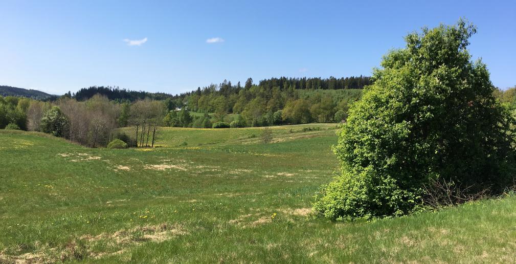 GRANSKNINGSKOPIA 2018-06-20 GESTALTNINGSPRINCIPER Detaljplan för del av Bollebygds Prästgård 1:1 m.fl.