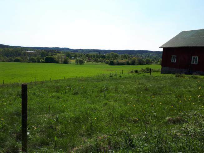 En del byggnader bör placeras längs gatan för att få ett definierat gaturum och samtidigt knyta an till de äldre landsortsvägarna med gårdar placerade längs vägen.