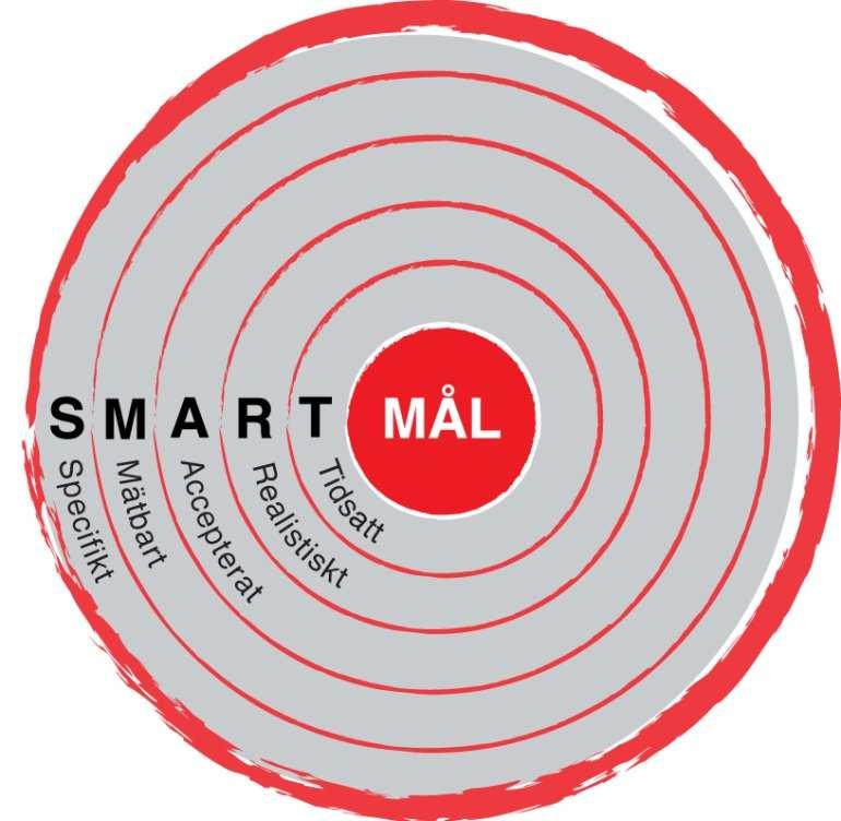 VAR SMART(S)! Specifika Exakt vad ska göras? Mätbara Går målen att mäta? Anpassade Vad behöver jag träna på för att uppnå målen?