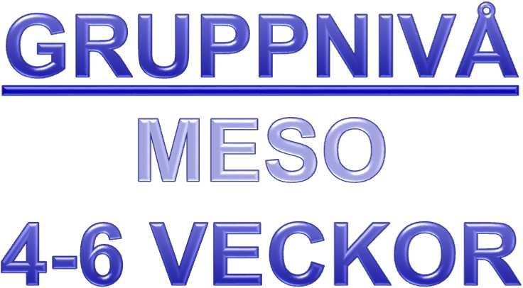 V E C K A 48 V E C K A 49 V E C K A 50 V E C Dag Meter Fart Huvudinriktning Tränare Plats Övrigt Måndag 29/11 6 000 m A3 Spec Ben Tek Szandra Tisdag 30/11 Onsdag SM-Gunnar 1/12 6-9000 m A3 Fr Arm Tek