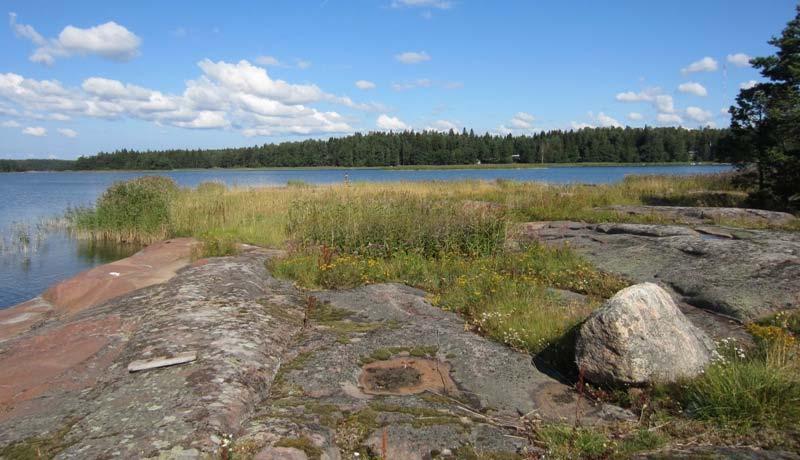 Arkitekturum Oy Kurudden