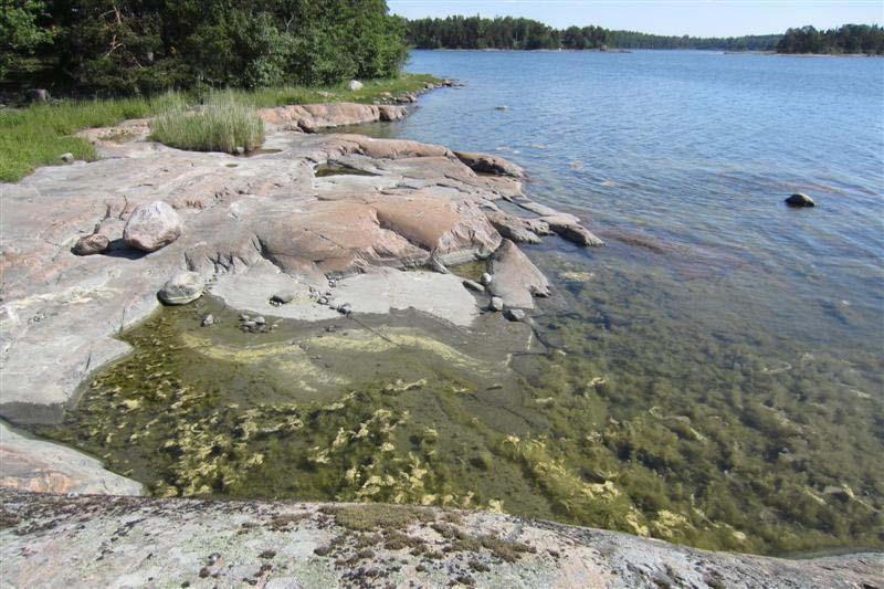 KURUUDDEN, BESKRIVNING AV STRANDEDETALJPLAN Arkitekturum Ab Ingå kommun 4.5.2015 3 Utgångspunkter 3.