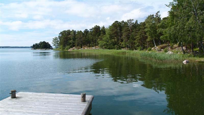 KURUUDDEN, BESKRIVNING AV STRANDEDETALJPLAN Arkitekturum Ab Ingå kommun 4.5.2015 rätt typisk mo- och bergsskog. Udden är skogsbevuxen och stränderna tidvis bergiga.