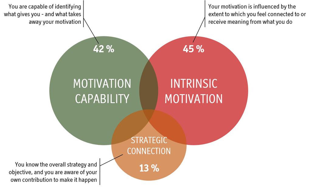 Upplägg Rapporten Motivation Factor Survey Plus är utvecklat efter Motivation Factors genomprövade testverktyg.