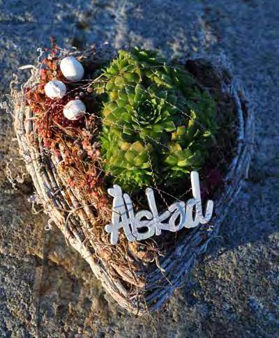 Allhelgonahelgen STIGSJÖ KYRKA fredag 3/11 12.00-18.00 öppen kyrka Stina Östman, diakonigruppen. Kaffe i brudkammaren. lördag 4/11, alla helgons dag 12.00-18.00 öppen kyrka Stina Östman, diakonigruppen. Kaffeservering, se ovan.