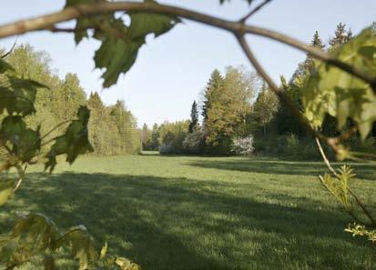 Figur 7-41. Inom undersökningsområdet finns värdefulla naturvärden som är knutna till ädellövskog och odlingslandskapet.