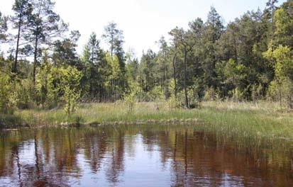 Grundvattensänkning Den grundvattensänkning som uppstår under uppförande- och driftskedet för slutförvarsanläggningen kan innebära konsekvenser för omgivande naturområden.