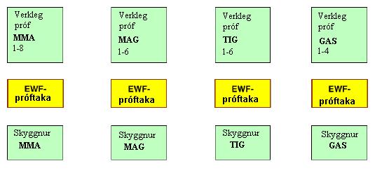 í PDF-formi nema sjálf EWF-prófin.