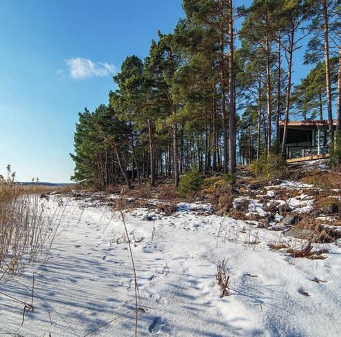 På Sälles kompass Året om TEXT: Sammanställd av Sälle-redaktionen Lootholma.fi Julia Jännäri På Lootholm finns mycket att se och upptäcka året om. Ett dopp i en vak piggar upp den grå vintern.