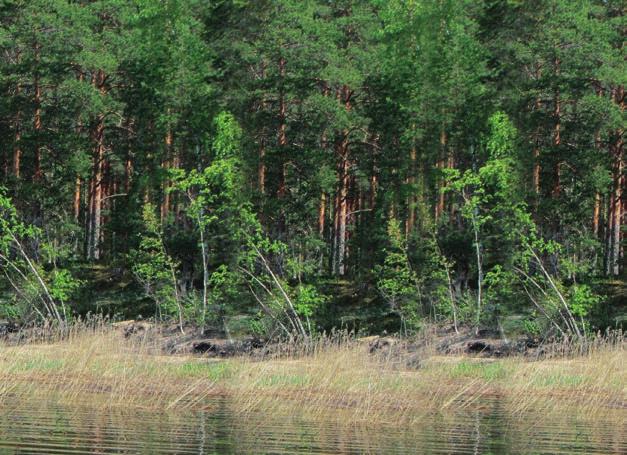 Skärgården Ren rf:s fartygsanskaffning skrevs in i statsbudgeten. I budgeten anvisas HSR rf 500 000 euro för ett nytt servicefar tyg.