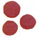 SCA01B SCA600710 -, -,