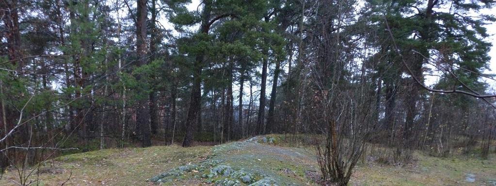 3.2 Geologi och bergteknik Vid platsbesök 2016-11-25 utfördes en översiktlig geologisk syn av berghällar i området över och kring det tänkta läget för bergrumsgaraget.