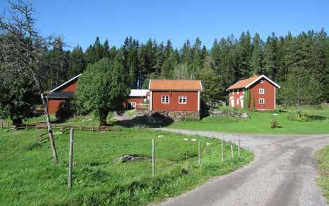 Det finns även hagmarker intill gården och en betad strandäng ner mot sjön.