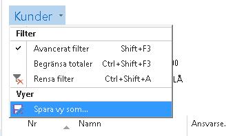 Välj det filter du vill sätta (i exemplet är Datumfilter valt) och ange kriteriet för ditt urval.