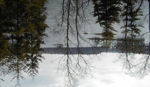 St Skärshultasjön från södra sidan.