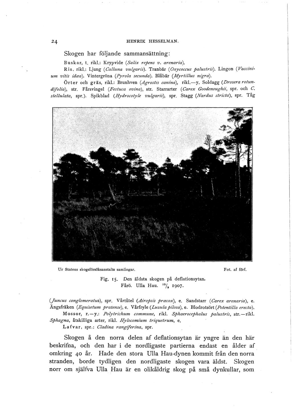 HENRIK HESSELMAN. Skogen har föjande sammansättning: Buskar, t. rik.: Krypvide (Saix repens v. arenaria). Ris, rik.: Ljung (Cauna vugaris). Tranbär (Oxycoccus paustris).