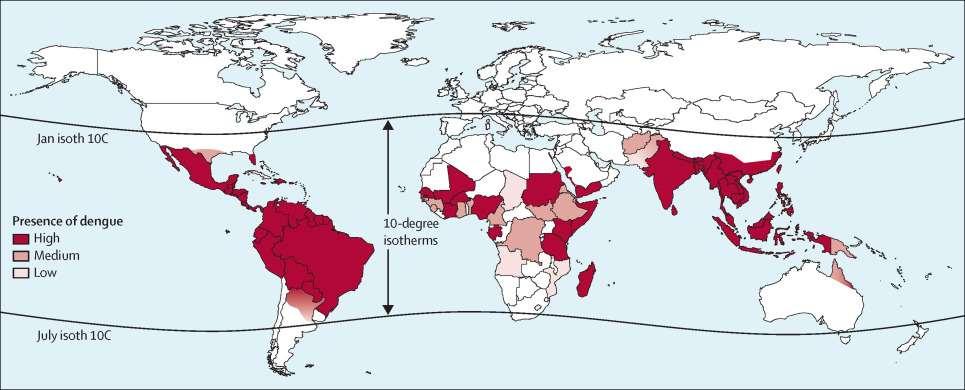 Dengue Myggburet virus Spritt i