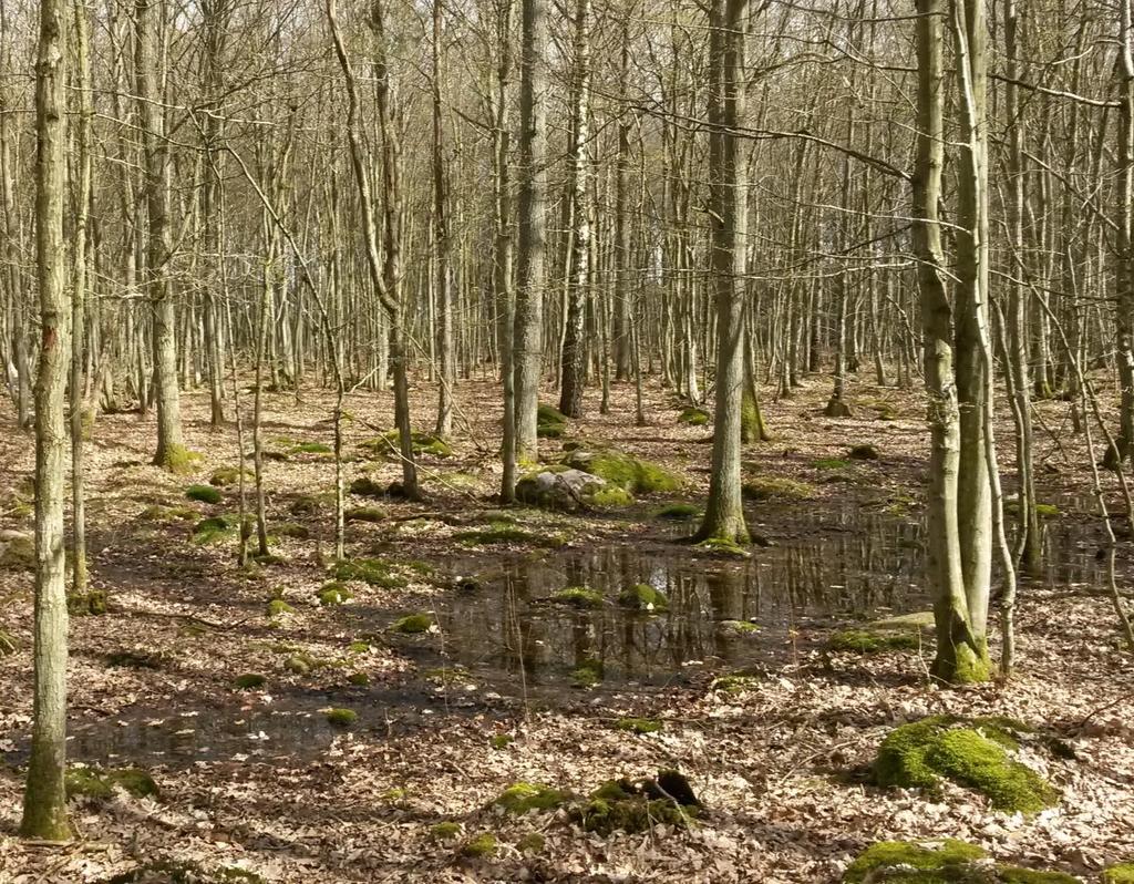 PLANERINGSUNDERLAG 05-0-5