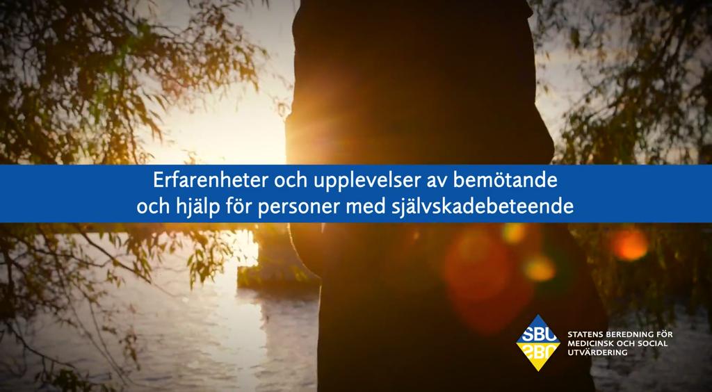 18-03-06 Upplevelser av vården Webbaserad enkätundersökning till patienter med självskadebeteende (2012): Slutsats, fortsättning: Betydelsen av att bli sedd som en unik människa och inte som en
