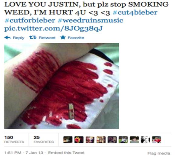 Internetfenomen Januari 2013 - #CutForBieber på Twitter.
