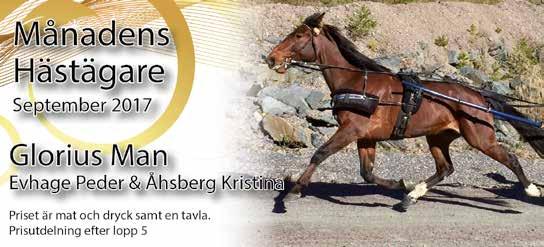 e Pearsall Hanover Uppf: Berglund Rickard, Vintrosa Äg: Berglund Rickard, Vintrosa Svart, axelp,vita st