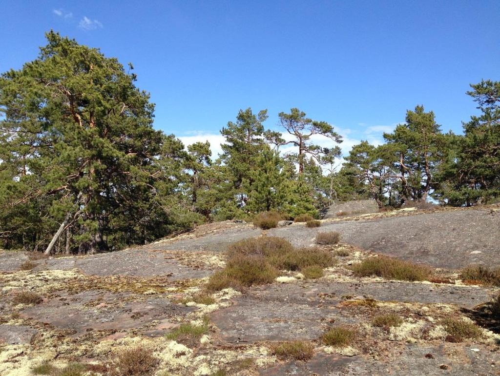 VÄSTERVIKS KOMMUN Naturvärdesinventering i Hornslandet UPPDRAGSNUMMER 2292877000 SWECO