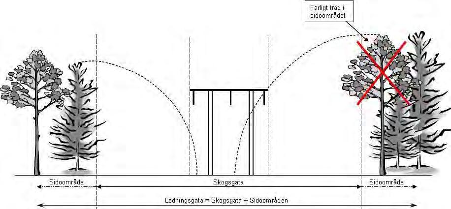 Figur 3. Principskiss för ledningsgata, skogsgata och sidoområden med farliga kantträd.