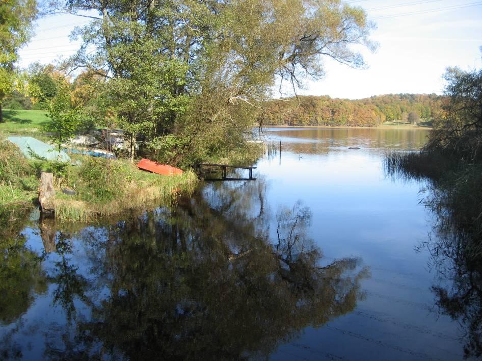 3.5.1 Uppströms Stensjö dämme Uppströms dammen ligger de naturliga stränderna i huvudsak högvattenfritt, dvs. något högre än DG+1 m och med en släntlutning ca 1:3. Bredden på ån varierar.