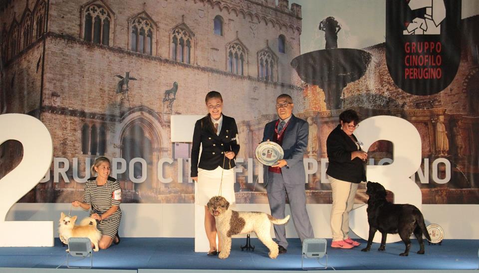 Anmälningsantalet till Radunon hade slagit världsrekord, 235 lagotto från 18 länder var anmälda.