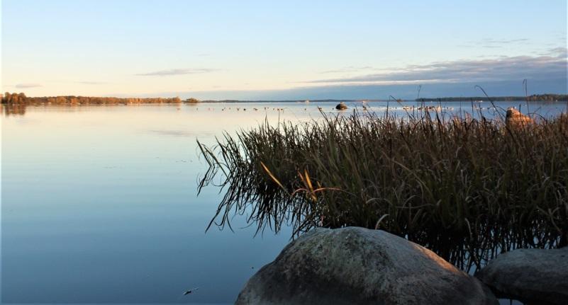 6 Hjälmaren Figur 55. Rynningeviken i Örebro vid Hjälmaren. Hjälmaren är Sveriges fjärde största sjö.