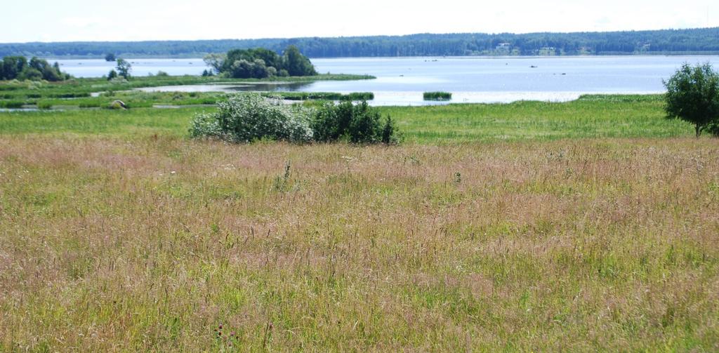 6.2 Historiska förändringar Den största förändringen som skett i Hjälmaren är den stora sjösänkningen som gjordes i slutet av 1800-talet.
